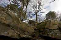 Cjp_2010_03_31_091922 (1).jpg